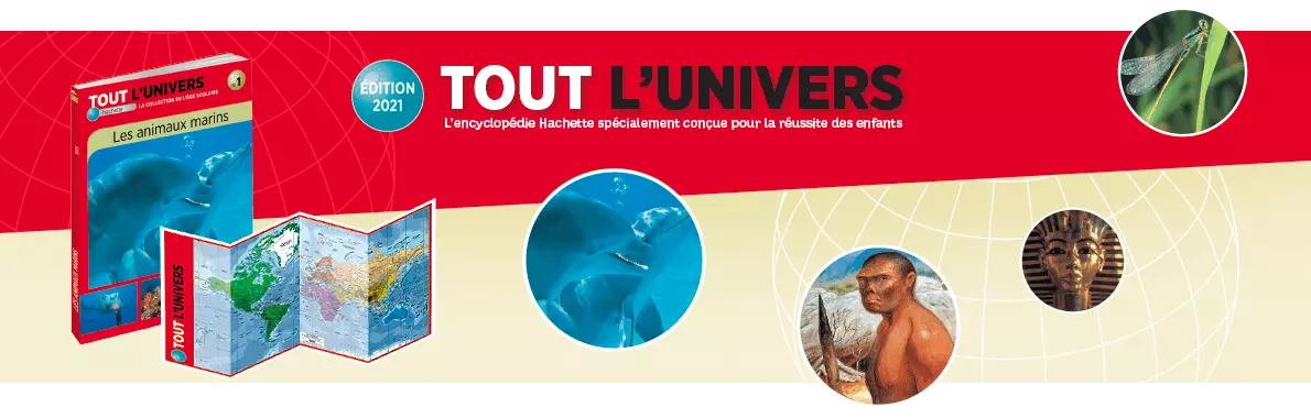 Tout l'Univers - Édition 2021