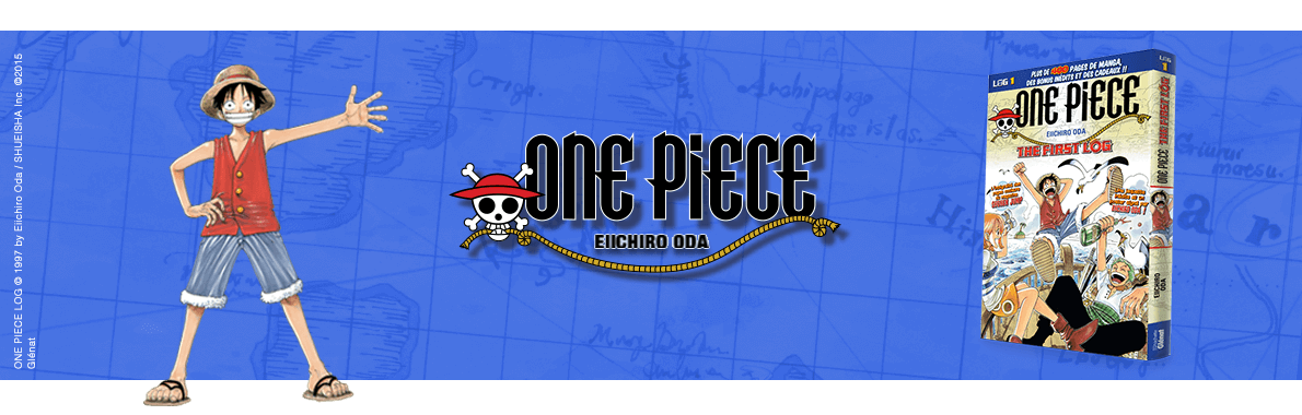 One Piece Log