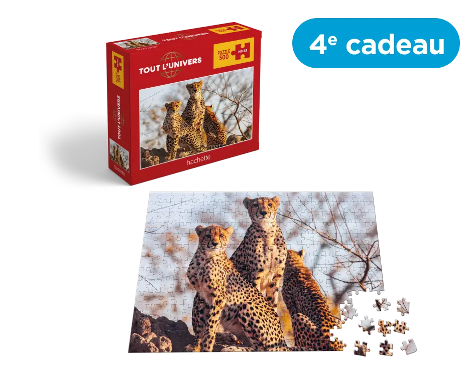 Ton puzzle animalier