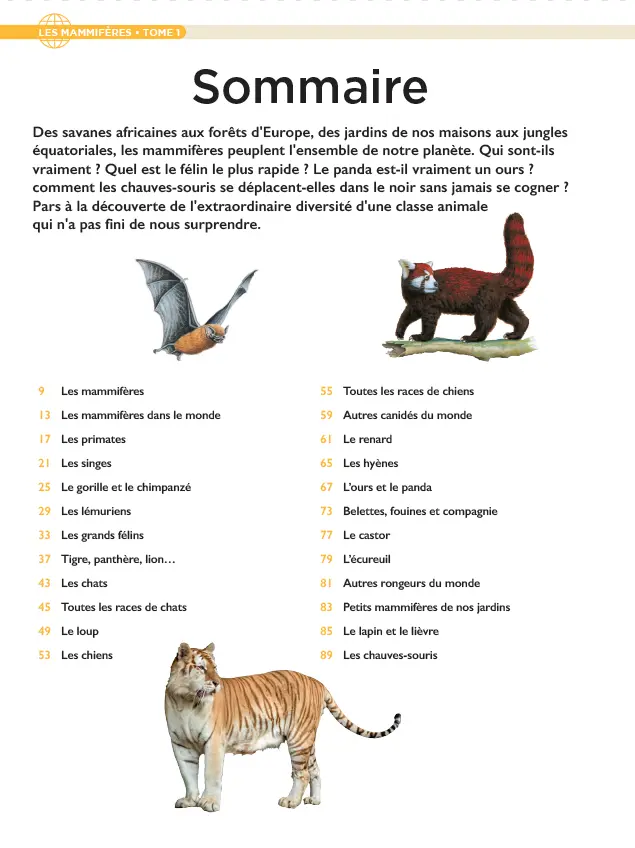 LE N°1 : Le fascicule