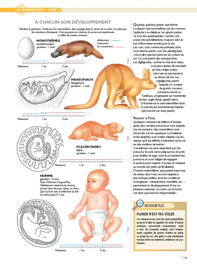 LE N°1 : Le fascicule