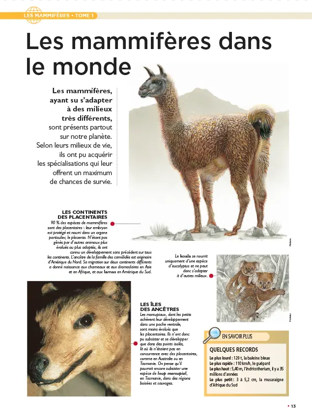LE N°1 : Le fascicule