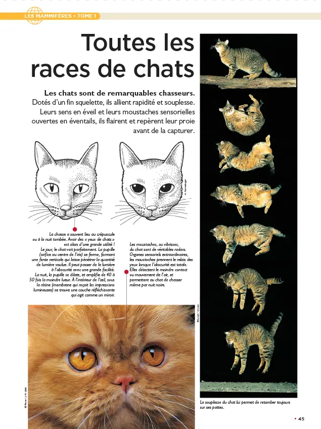 LE N°1 : Le fascicule
