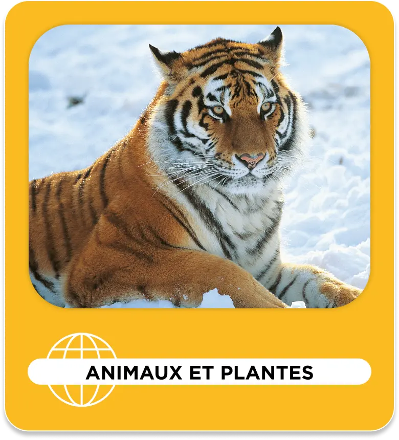 Thématique Animaux et plantes