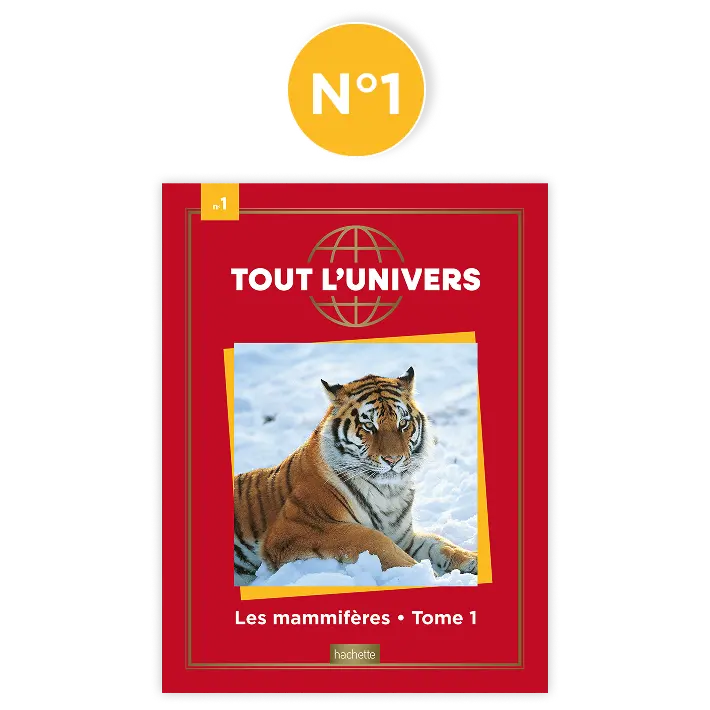 Ton n°1 : le livre sur les mammifères terrestres
