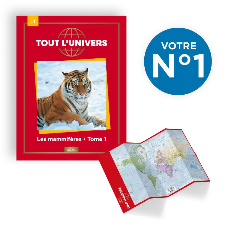 Le N°1 : Le livre sur les mammifères terrestres + le planisphère offert