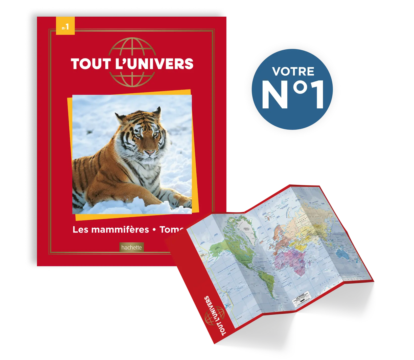 Le N°1 : Le livre sur les mammifères terrestres + le planisphère offert