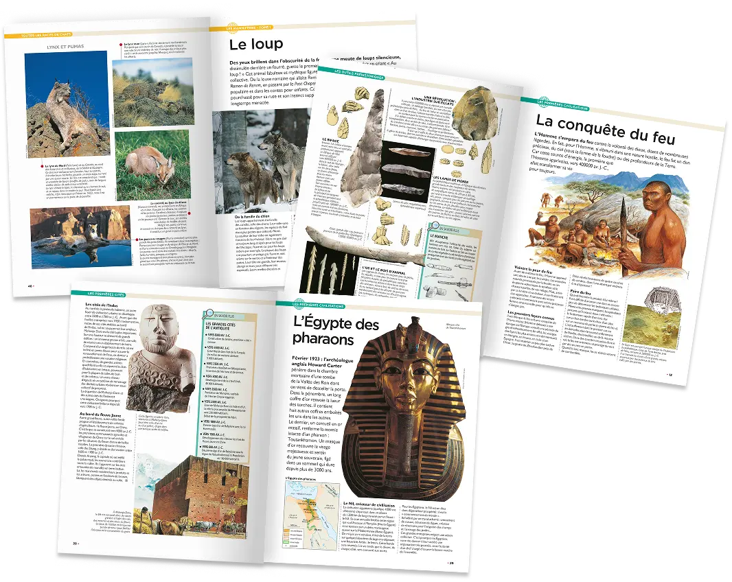 Les sujets varient à chaque volume, et sont richement illustrés et détaillés