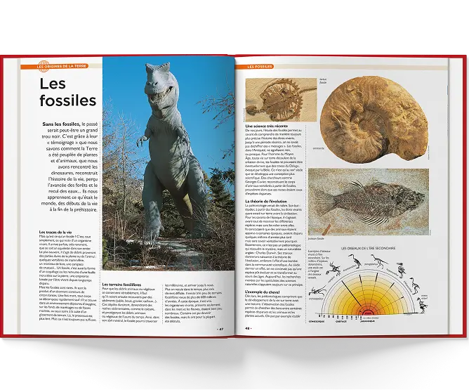 Double page sur les fossiles