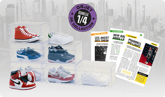 Collection Sneakers Passion