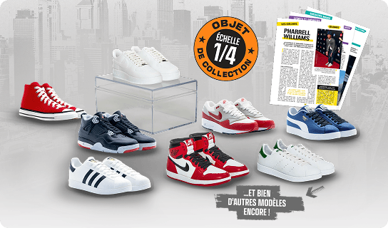 Collection Sneakers Passion