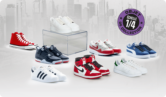 Collection Sneakers Passion